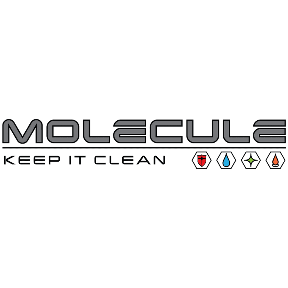 Molecule Logo